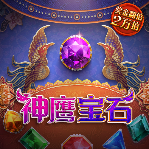 朵拉探险摄影